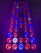 LED GROW panel