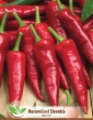 Paprika koreninová Hodonínska sladká