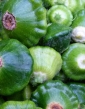 Patizón OKRA