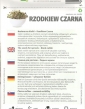 Reďkovka čierna - semená na klíčenie 