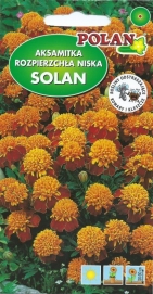 Aksamitník rozkladitý nízký SOLAN Polan - 500 mg