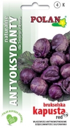 Kapusta růžičková červená RED Antioxidant