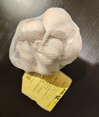 Jarní česnek Hortus