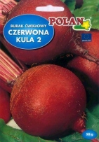 Červená řepa salátová Červená koule 2