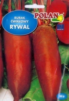 Červená řepa Rywal