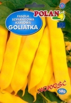 Fazol obecný Goliáška