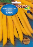 Fazol obecný Tara