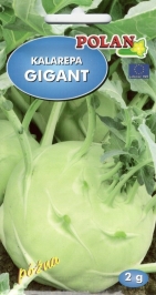 Kedlubna gigant POLAN