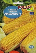 Kukuřice cukrová Amonia