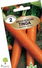 Mrkev pozdní - TINGA MS