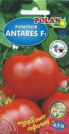 Rajče Antares F1 Antioxidant