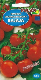 Rajče v květináči Bajaja POLAN