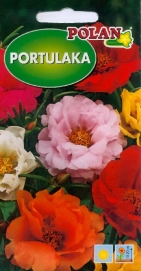 Portulaka velkokvětá směs barev - POLAN