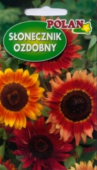Slunečnice okrasná červená směs Polan – 5 g