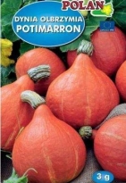 Dýně Hokkaidó – Potimarron
