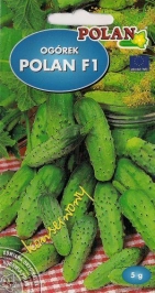 Okurka Polan F1