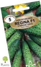Okurka nakládačka REGINA F1 – MS