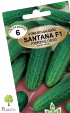 Okurka nakládačka SANTANA F1 – MS