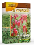 Jetel inkarnát - zelené hnojení - 100 g