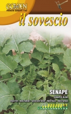 Hořčice bílá - zelené hnojení - 100 g