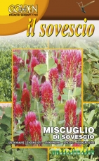 Směs rostlin na zelené hnojení - 100 g