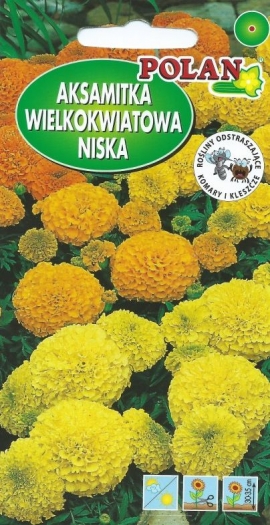 Aksamitník velkokvětý nízký směs POLAN - 500 mg