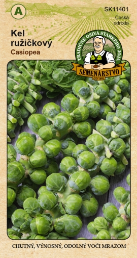 Kapusta růžičková Casiopea SJ