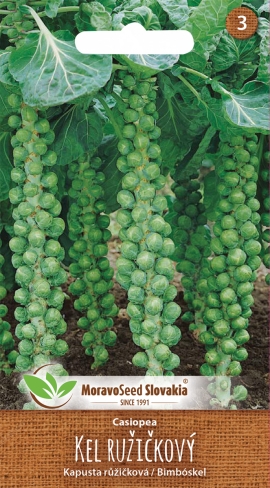 Kapusta růžičková Casiopea MS - 300 mg