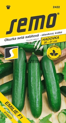 Salátová okurka EMILIE F1
